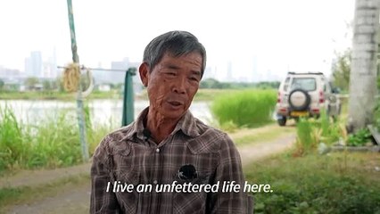 Hong Kong mega development plan to devour villages, wetlands