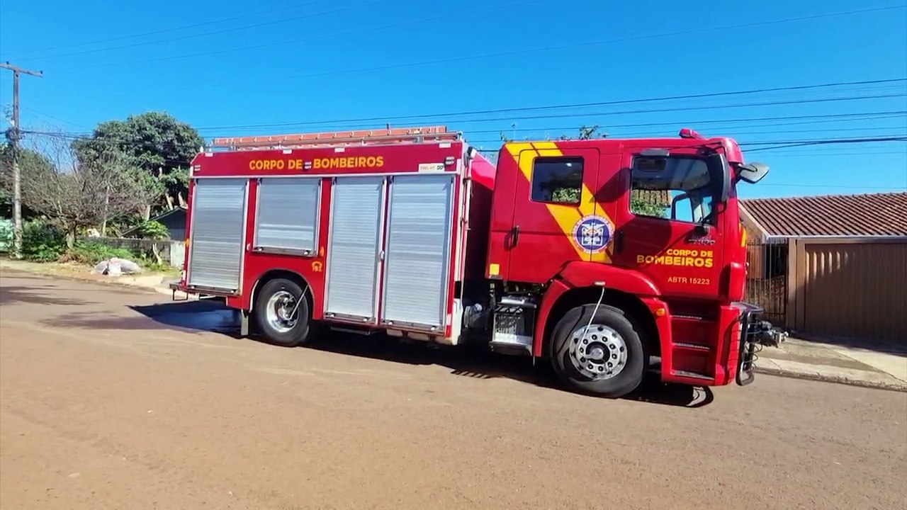 Bombeiros são acionados a ataque de pitbull; Cachorrinho de pequeno porte morre