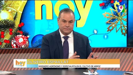 Oliveiro Espaillat explica que esta pasando con el Arroz | Hoy Mismo