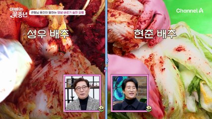 ※김장 마스터 성우의 노하우 대방출※ 신성우 극대노 유발한 범수표 김장김치ㅋㅋ