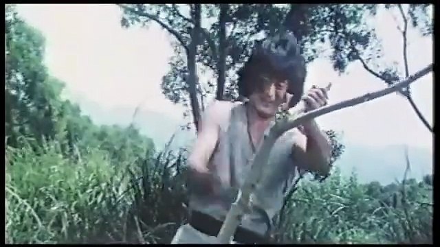 Secret Shaolin Kung Fu (1979) // Classic Kung Fu Movies