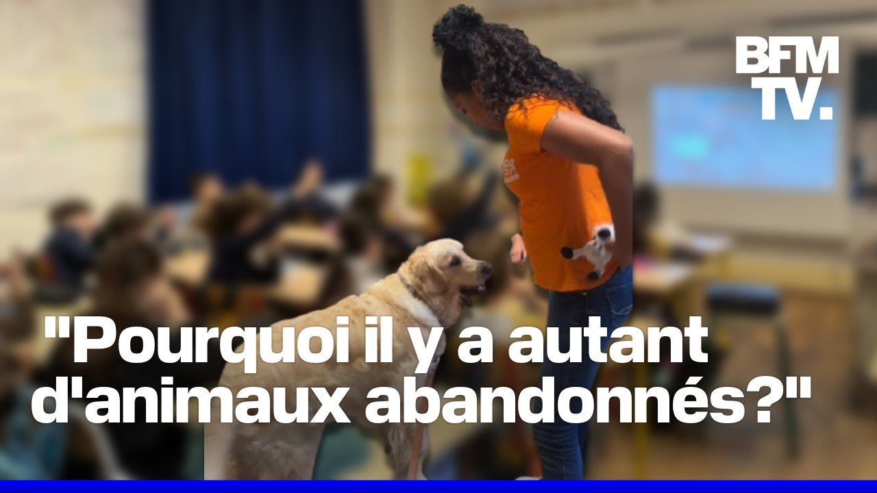 À 9 ans, cet élève invite la SPA dans sa classe pour sensibiliser ses camarades au bien-être animal