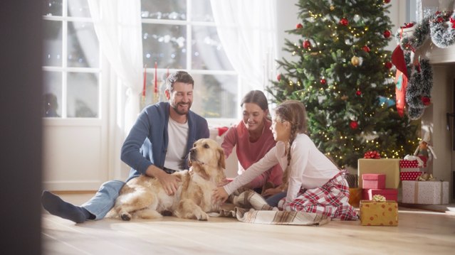 These Are Some of the Best Dog Toys You Can Give Your Furry Friend This Holiday Season