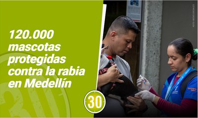 Medellín alcanza récord histórico con vacunación contra la rabia