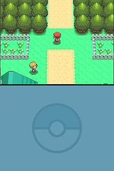 Pokémon Version Diamant online multiplayer - nds