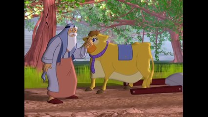 14 - قصص الحيوان في القرآن  الحلقة 14  بقرة بني إسرائيل - ج 1