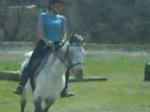 doudou damour jtm 4ever