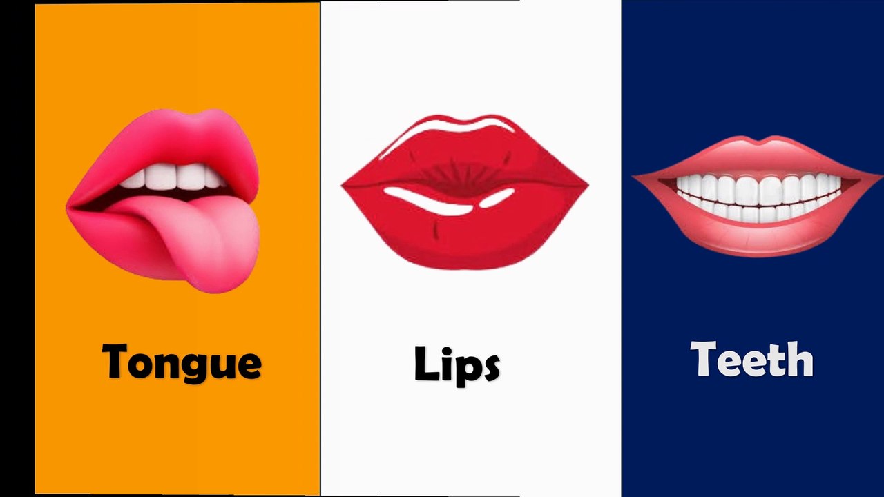 Learn Parts Of Body Name | Parts of Body Name in English | Human Body Parts | Basic English Learning