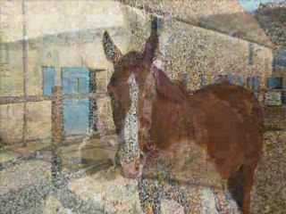 Anniversaire ma grosse