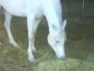 Dernier moment avec mon dadou que j'aime