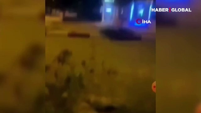 Sokak köpeğine yapılan müdahaleye vatandaşlardan tepki