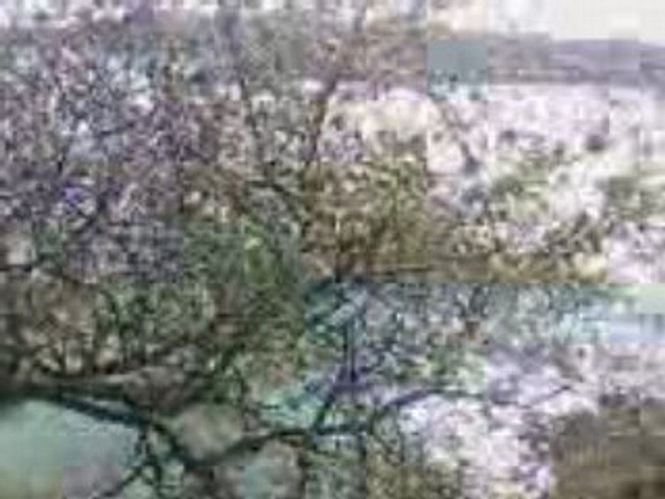 VID012