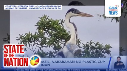 Ibon sa Brazil, nabarahan ng plastic cup sa lalamunan | SONA