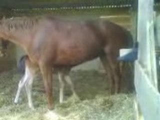 Utopia notre bb tte mimi