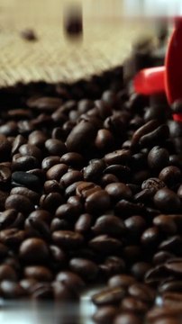 Specialty Coffee vs. Commodity Coffee Which Should You Trade | Scott Biffin