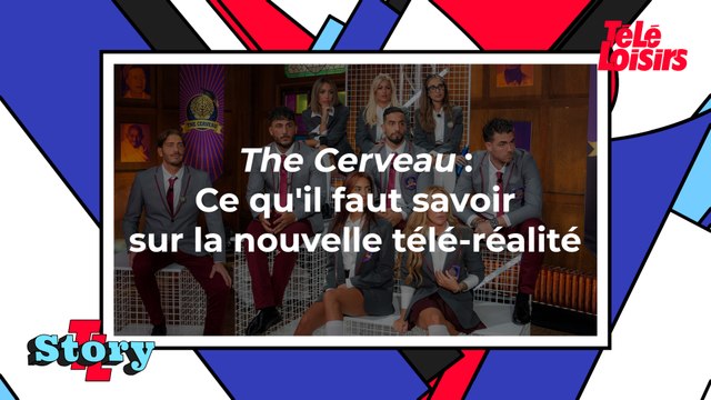 The Cerveau : ce qu'il faut savoir sur la télé-réalité de W9