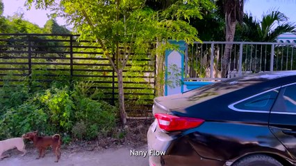 Tomo 50,000 para irse de fiesta y ahora no quiere pagarle a la garante - parte final