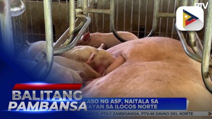 Ilang kaso ng ASF, naitala sa ilang bayan sa Ilocos Norte