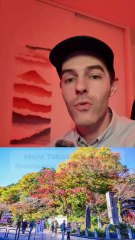 Itinéraire Parfait pour un Premier Voyage de 2 Semaines au Japon 🇯🇵