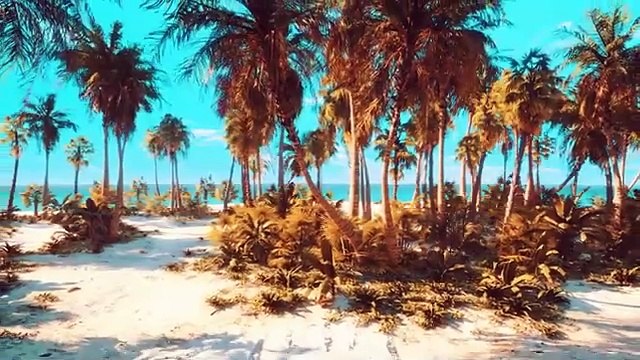 White Sand Beaches Scenic Relaxation Calming Music With Beautiful White Sand Beach Scenery - TripAdvisor and Booking