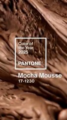 Qui choisit la couleur Pantone de l'année ?