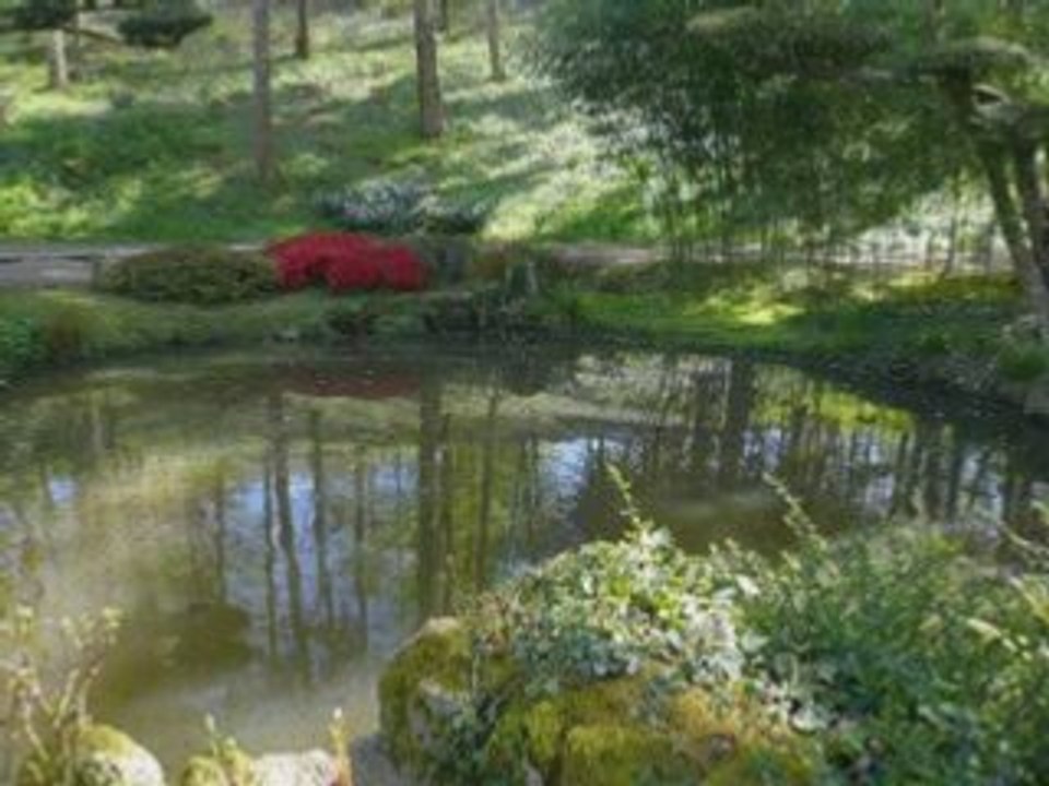 Parc oriental de maulévrier