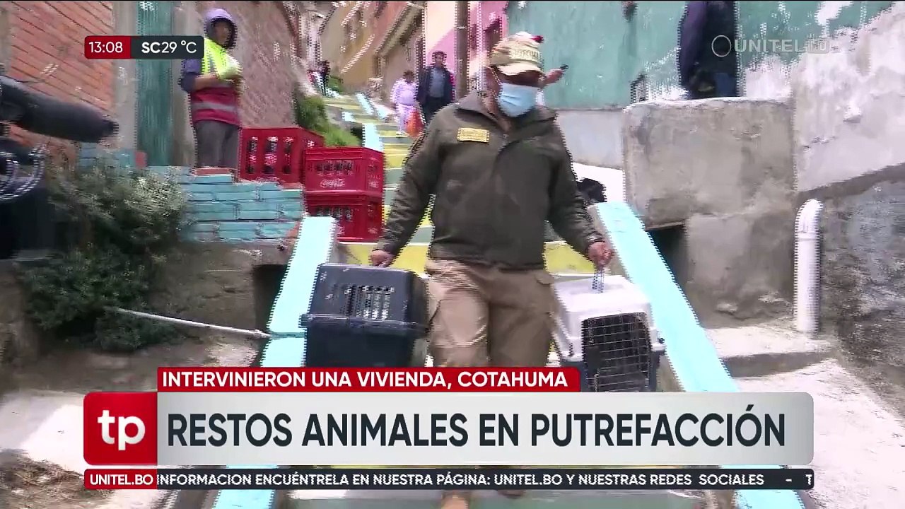 La Paz: Intervienen una casa donde hallaron gatos y perros muertos; había algunos congelados