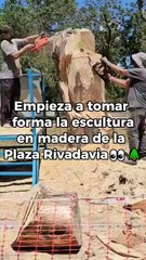 Toma forma la escultura en madera de la Plaza Rivadavia: anticipan que habrá más