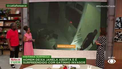 Que SUSTO! Gatinho invade casa de morador que deixou janela aberta | Melhor da Tarde