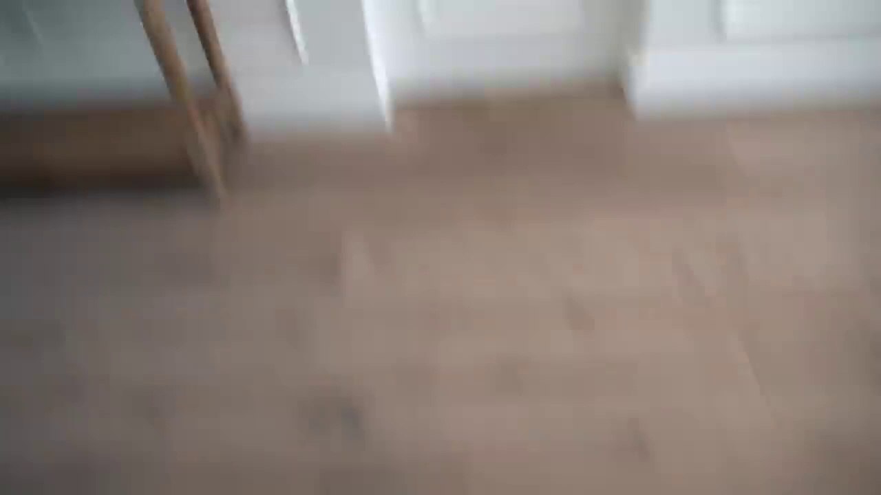 I Made A Train For My Dogs