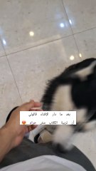 🎁 ! دار الإفتاء قالولي أجمل فتوي ! 🎁