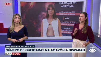 Número de queimadas na Amazônia é o maior em quase 2 décadas