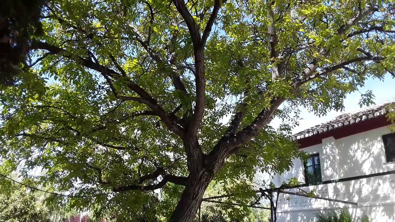 Granada, casa Garcia Lorca