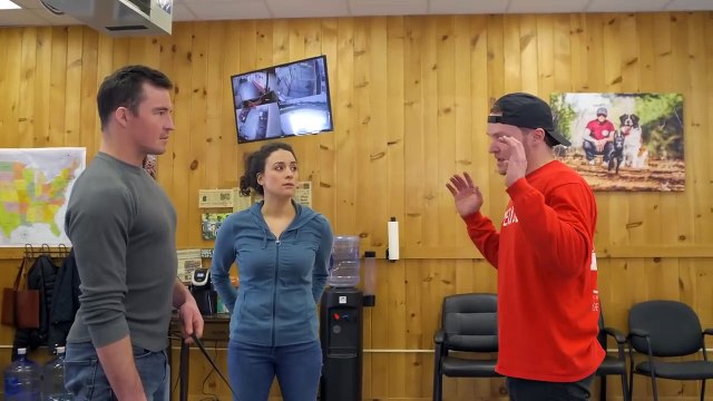 Dog training collar with remote what is the difference between shock collar and e collar