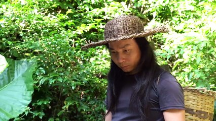 EP.310 - Muita comida selvagem na floresta, pegue e cozinhe