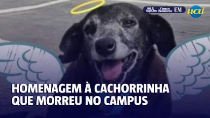 Homenagem à cachorrinha que morreu no campus da Unimontes