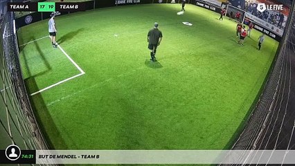 But de Mendel - Team B