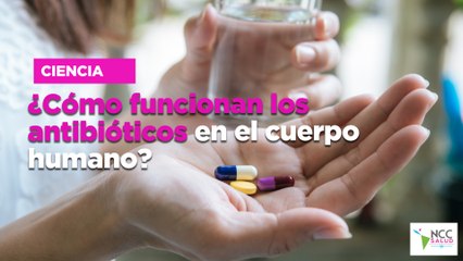 ¿Cómo funcionan los antibióticos en el cuerpo humano?