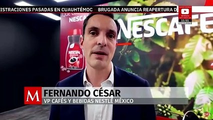 Cultivo de café, una alternativa para mejorar la vida del sureste