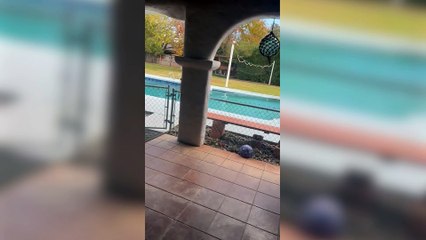 Captan cómo se vivió el sismo de magnitud 7 que sacudió California