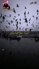 🌿اللّہ، تعالیٰ فرماتاہے🌿 🥀اگر سات سمندر کا پانی🥀  🌿دوزخ میں ڈال دیا جائے🌿 🥀تو بھی دوزخ کی آگ کم نہیں ہوگی🥀 🌿جب میرا بندہ میرے سامنے🌿  🥀ہاتھ پیلا کر روتا ہے🥀 🌿تو اسکی انکھ سے نکلنے والا🌿 🥀ایک آنسو کا قطرہ 🥀 🌿اگر دوزخ میں ڈال دیا جائے🌿