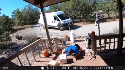 Best Delivery Driver Videos of the Decade  viral funny and entertaining video