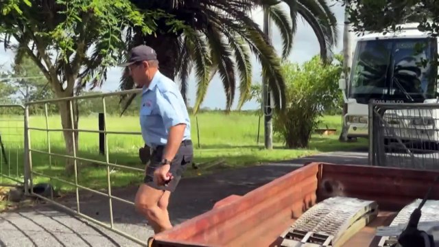 Queensland businesses struggle to get signal after Telstra shut down its 3G network