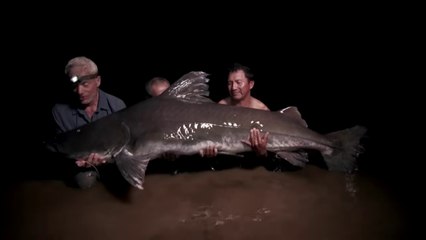 River Monster New Episodes in Hindi HD