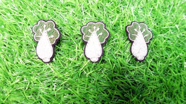 Cloth Fashion Badges, cloth badges manufacturers, embroider fashion badges, fashion badges