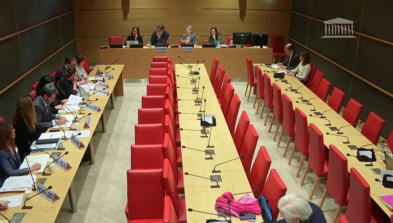 Violences commises dans les secteurs artistiques et médiatiques : Table ronde de représentants de producteurs audiovisuels ; Table ronde d'exploitants et de distributeurs de cinéma  - Jeudi 5 décembre 2024
