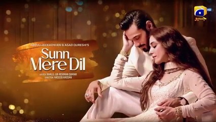 Sunn Mere Dil Episode 19 [Eng Sub] - Wahaj Ali - Maya Ali - 6th Dec 2024 - Har Pal Entertainment
