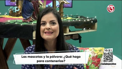 Entrevista - El CBD en mascotas puede ayudarles si le temen a la pólvora