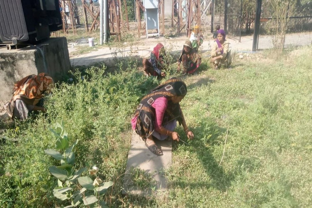 swm: मुख्यमंत्री शहरी रोजगार गारंटी योजना में बजट पर कैंची चला रही सरकार