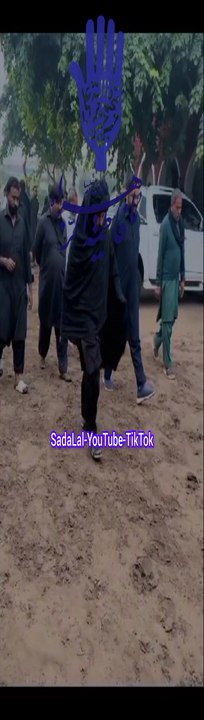 Hey Fatwe lagha rahe hen #status #reels #shorts #video #new #news #whatsappstatus